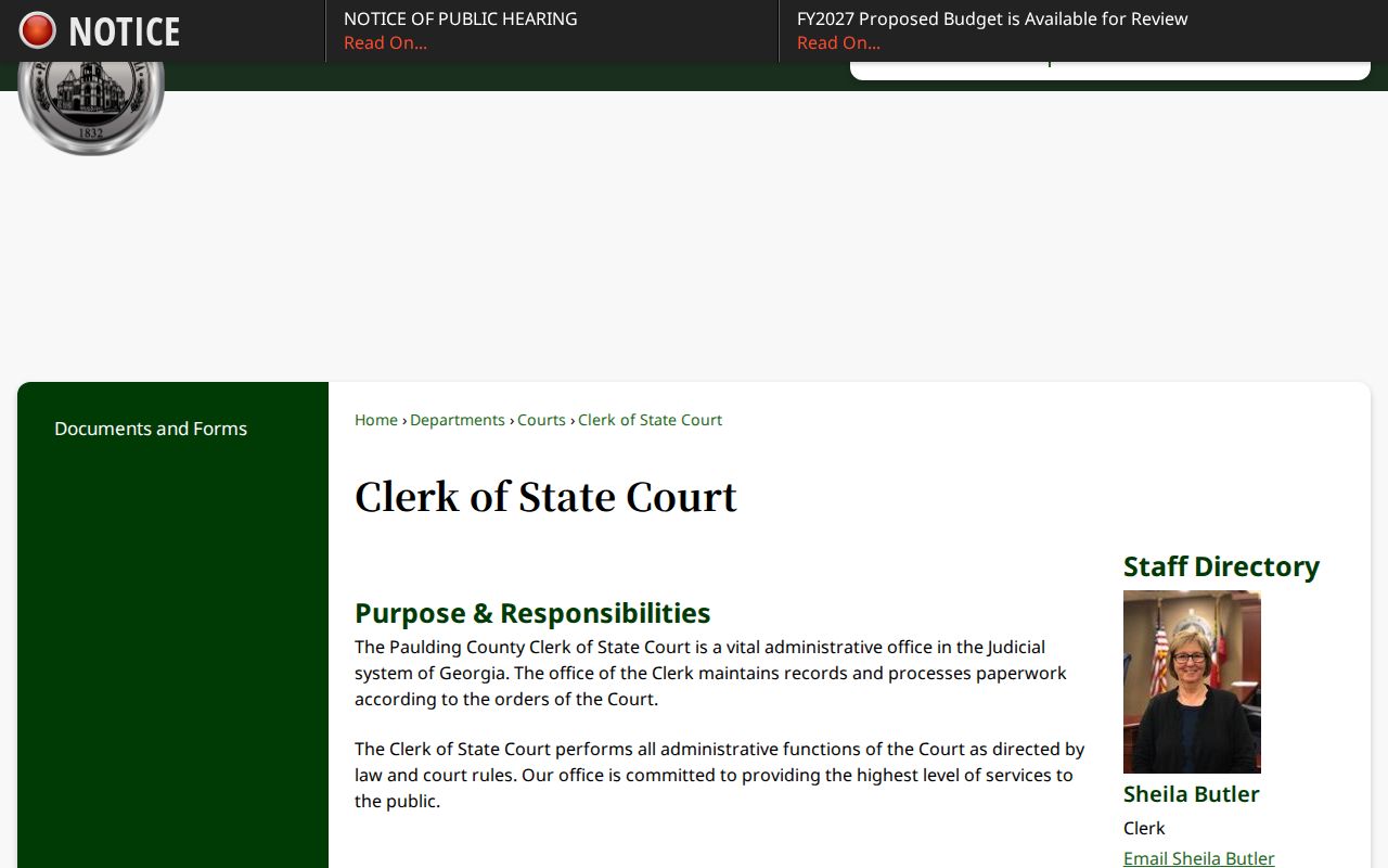 Paulding County State Court traffic record and ticket instructions